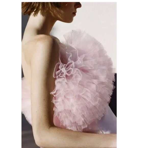 Zara | Voluminous Tulle Mini Dress In Pink - Picture 11 of 15